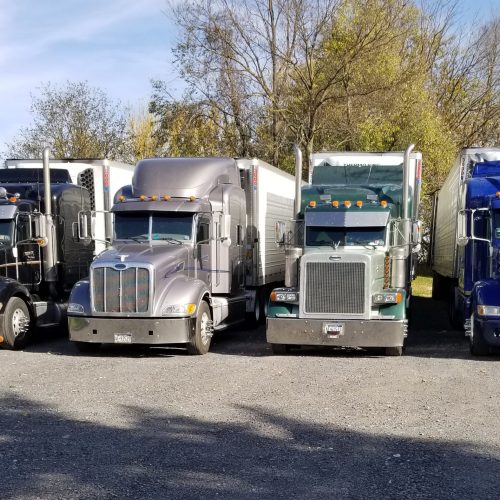 A row of semi trucks parked neatly in a parking lot.